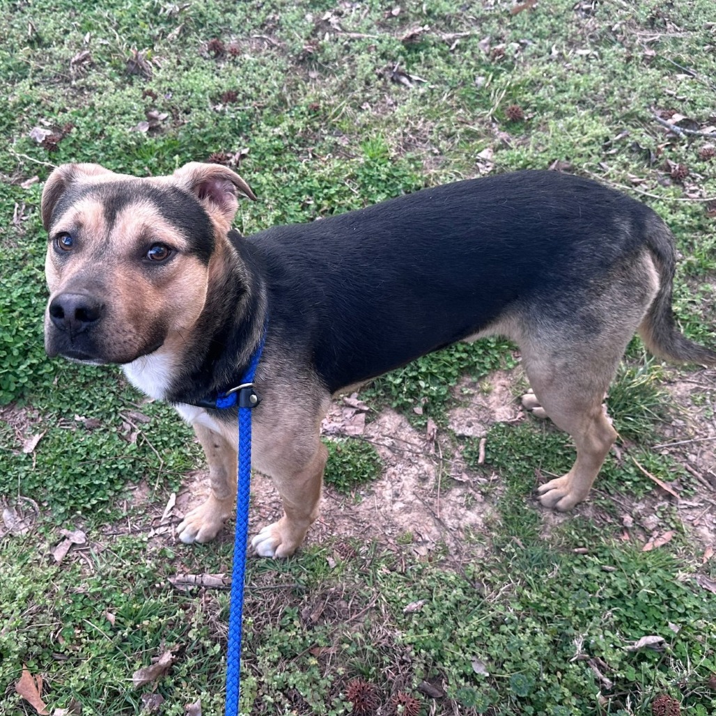 Ridge — thumbnail 8