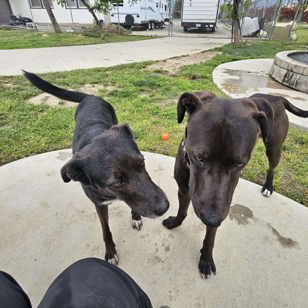 Twix, photo 25