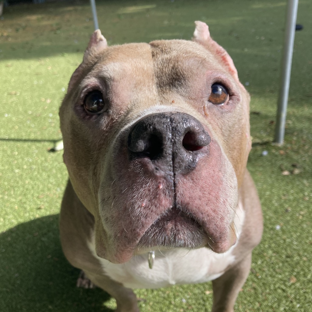 Zeus, additional photo