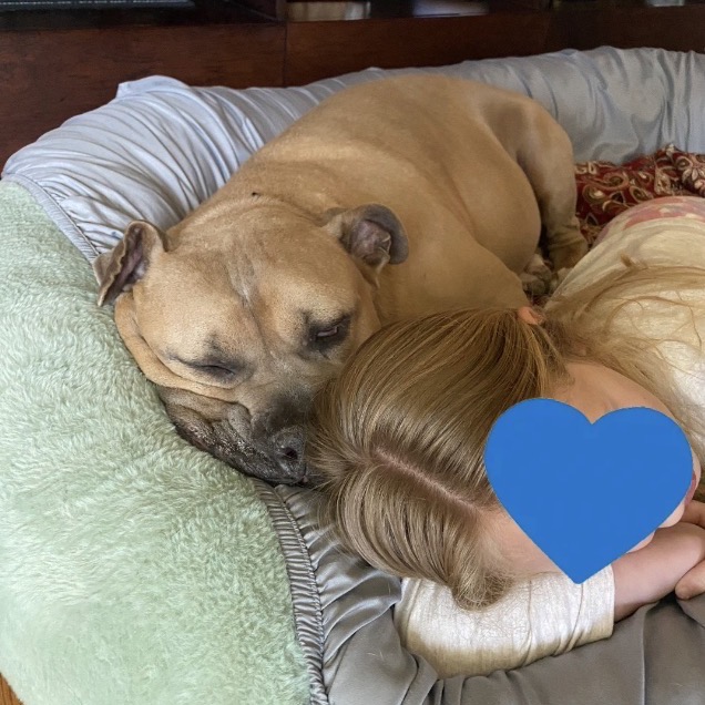 Blue, photo 14