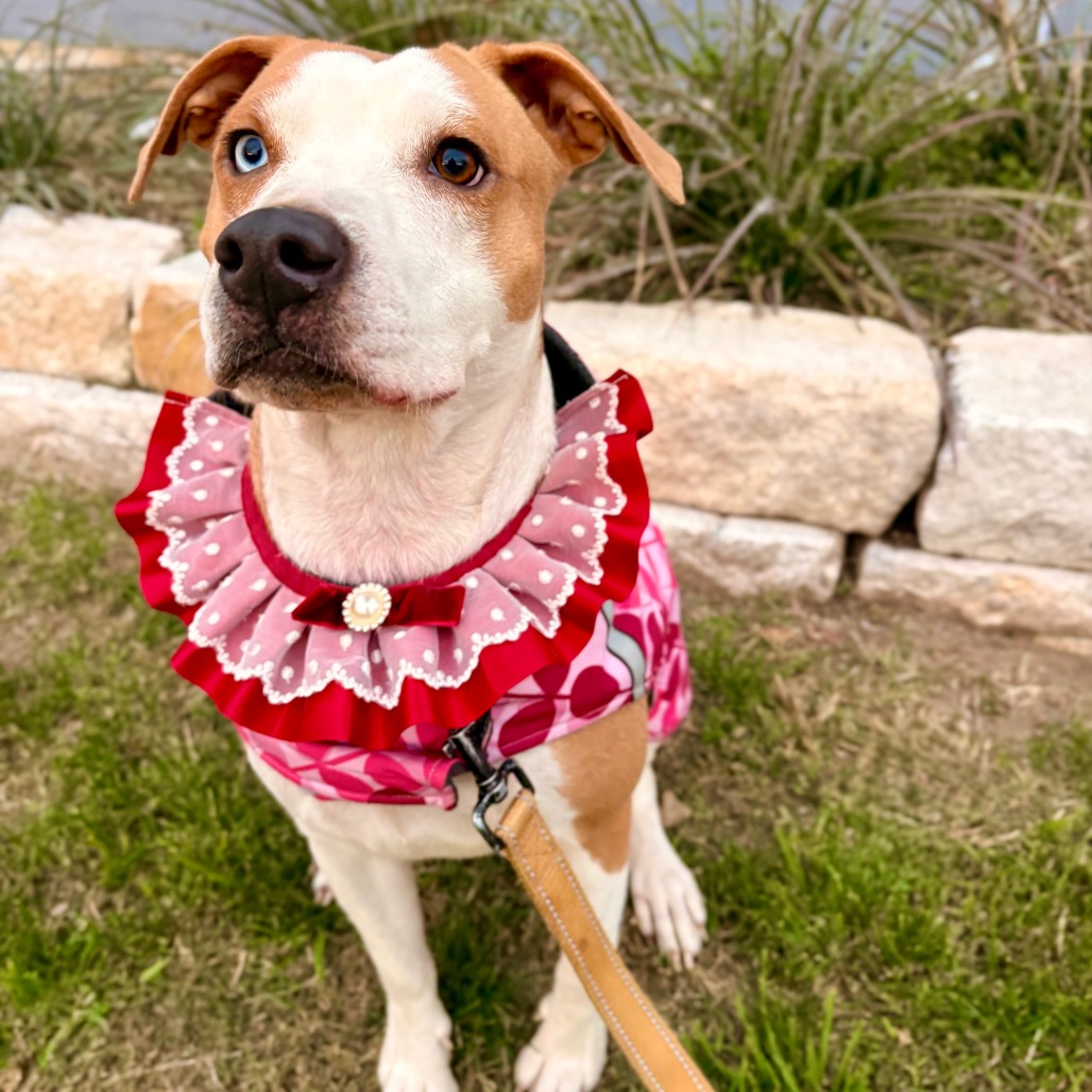 January Eve — thumbnail 10