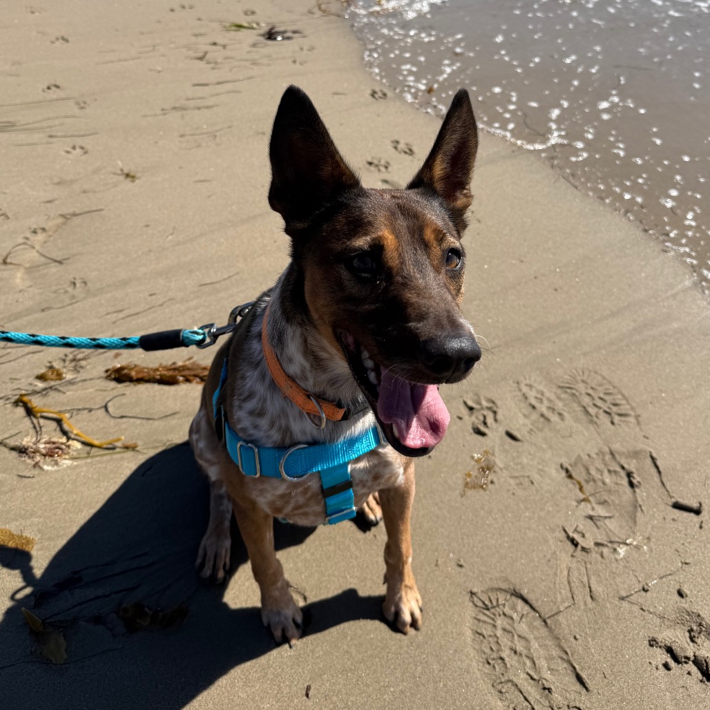 Cash, photo 28