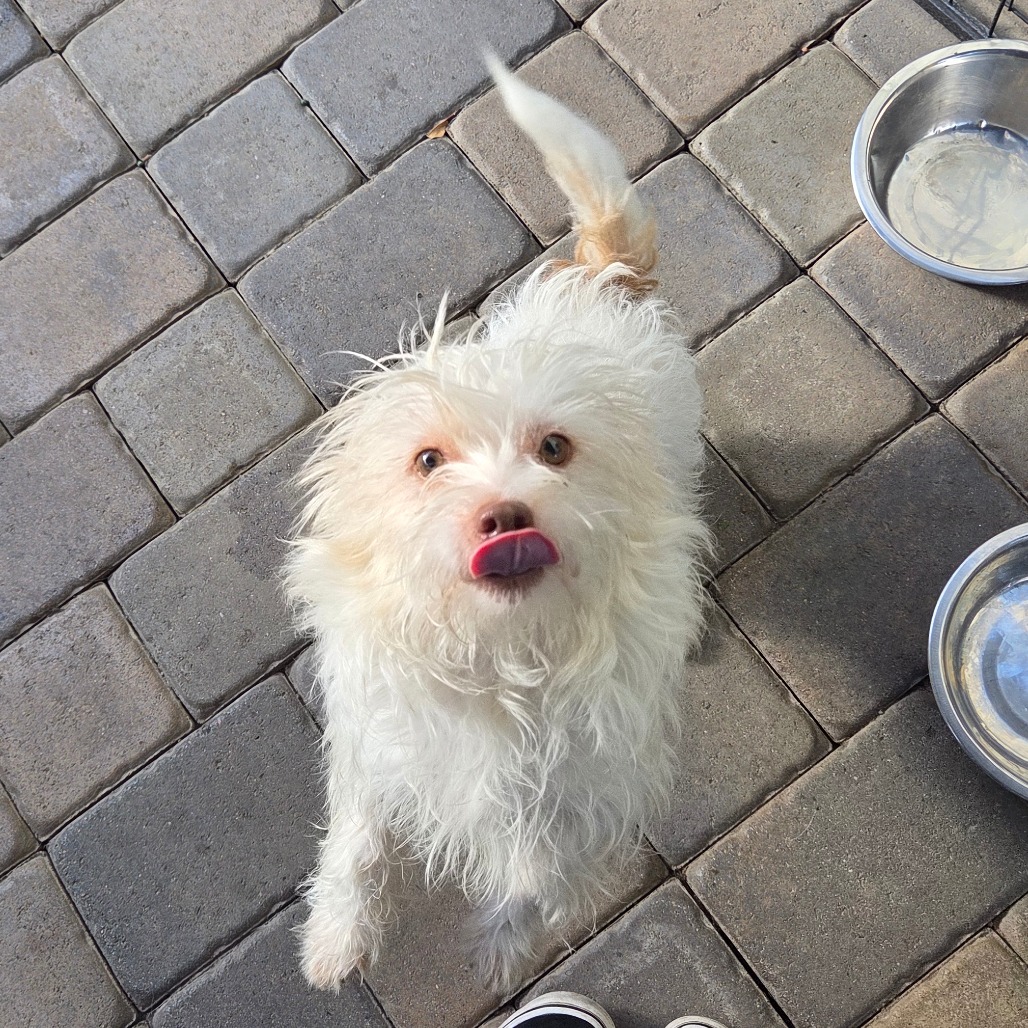 Darwin — thumbnail 5