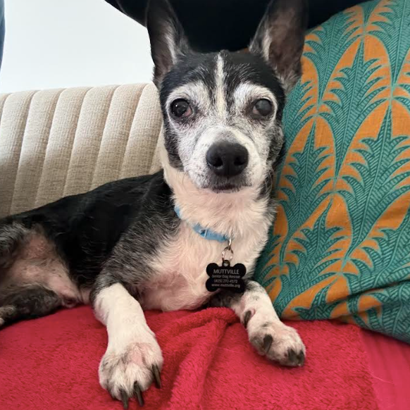 Guffman 13783 — thumbnail 4