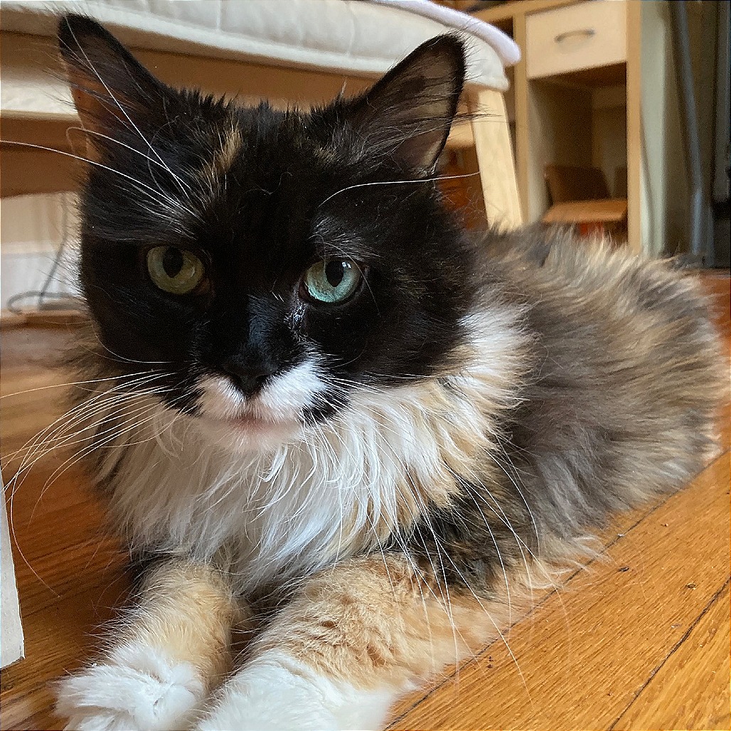 Leah, photo 23
