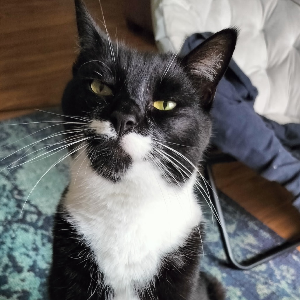 Stash & Bandit, photo 2