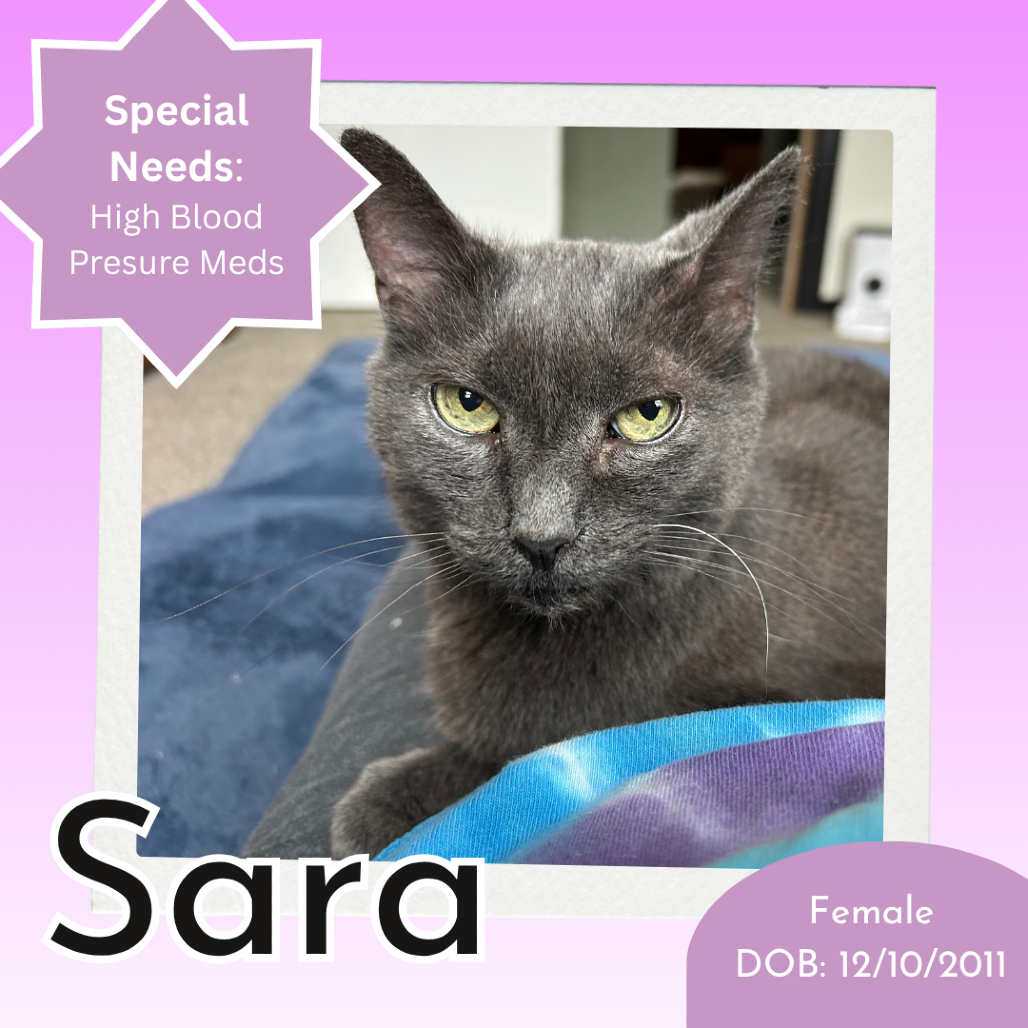 Sara