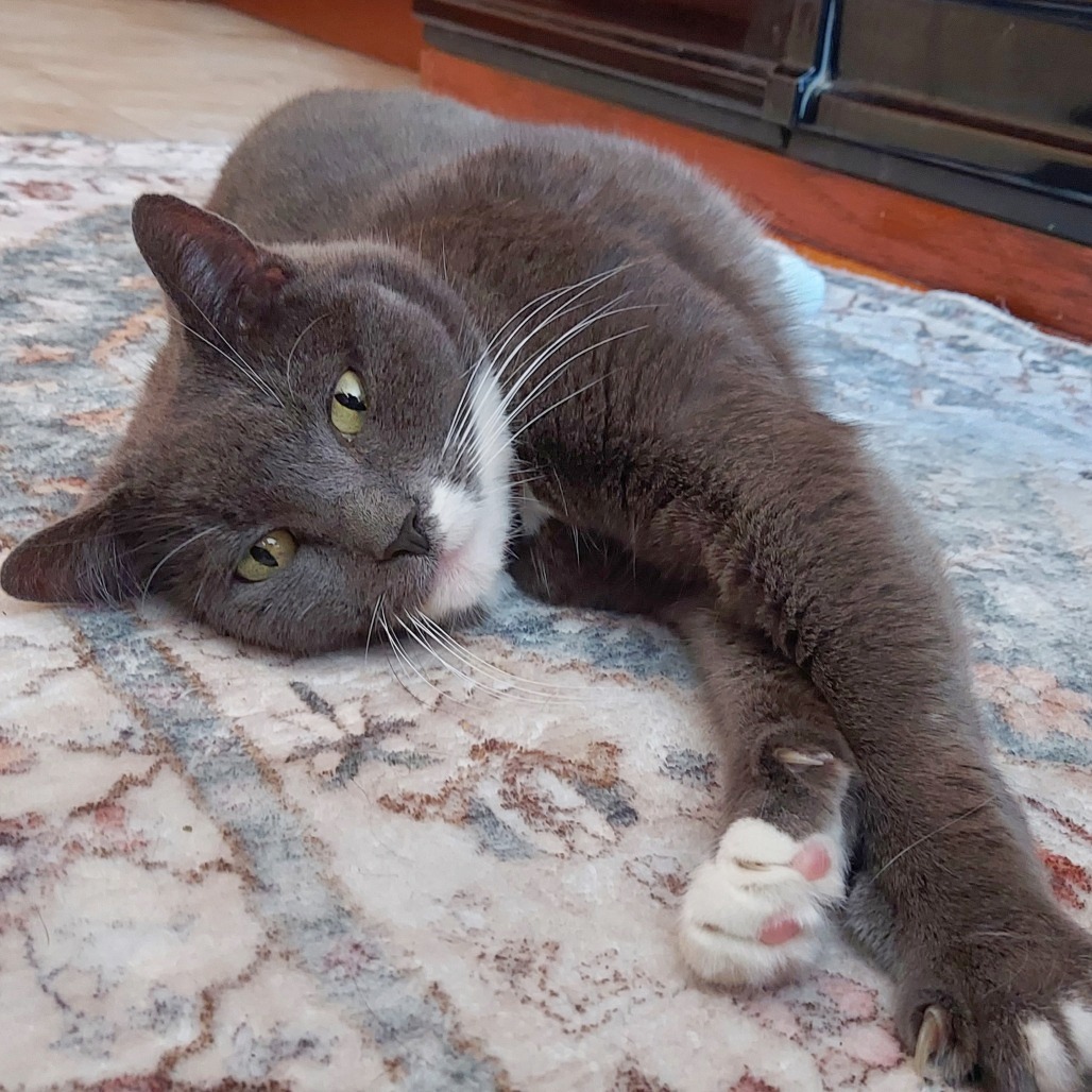Applesauce, photo 28