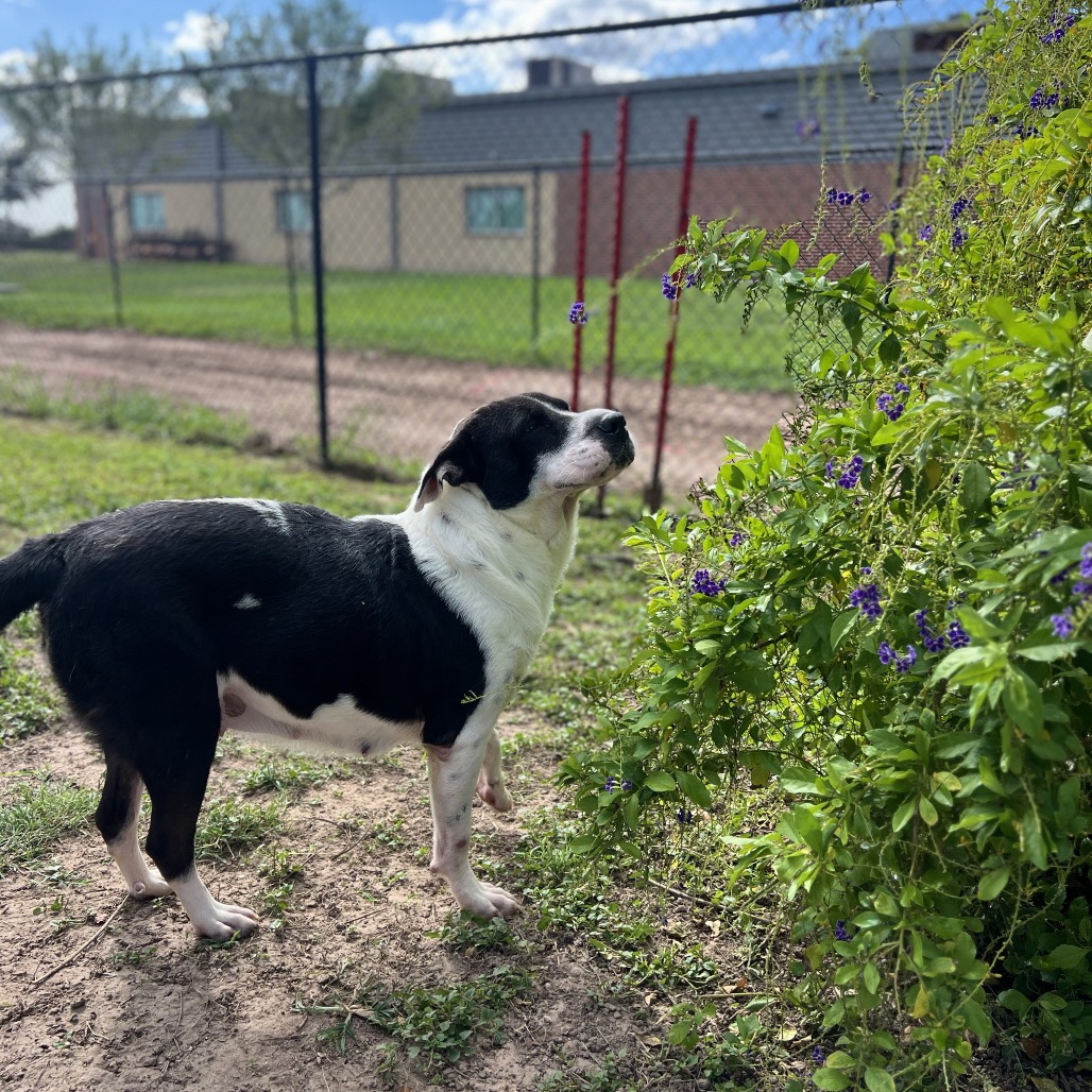 Margie, photo 7
