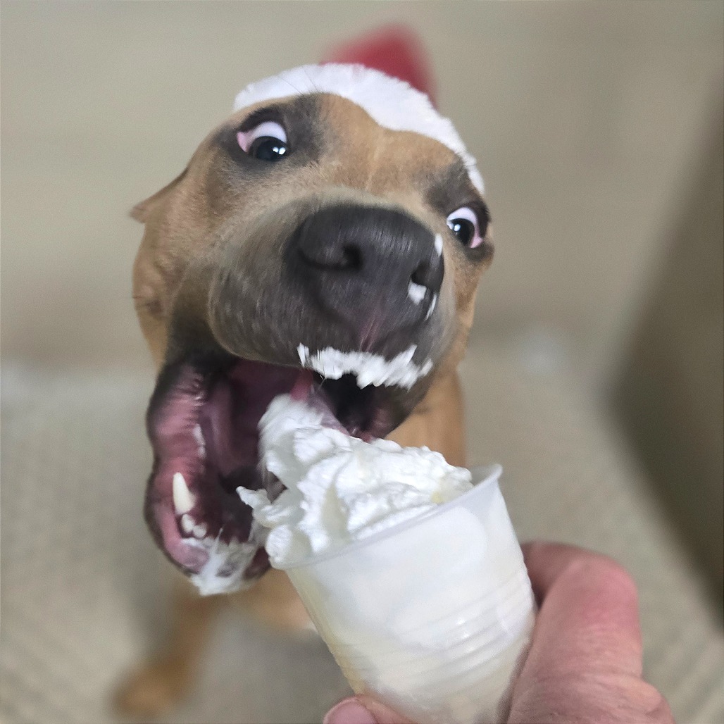 Achilles — thumbnail 3