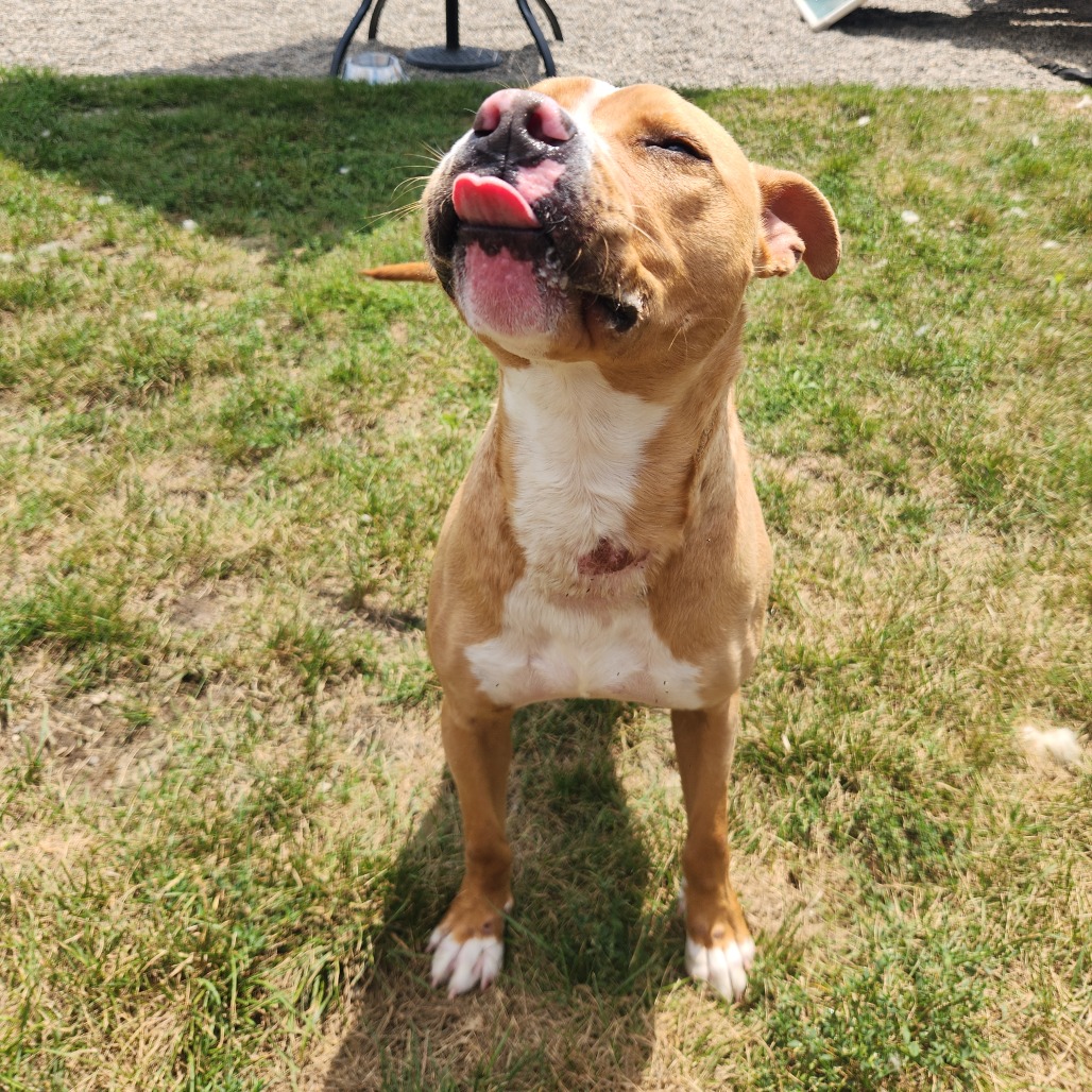Milo