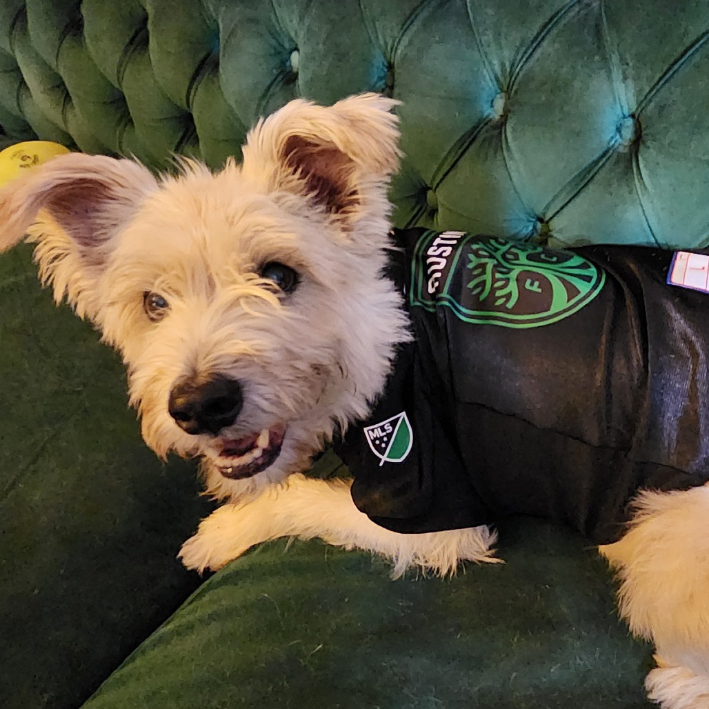 Scrappy, additional photo