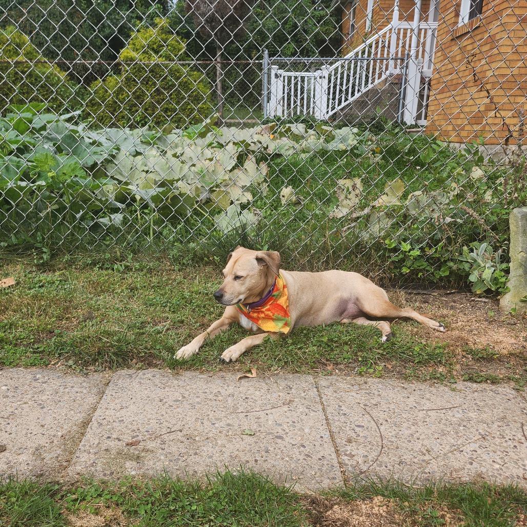 Photo of Buddy 6