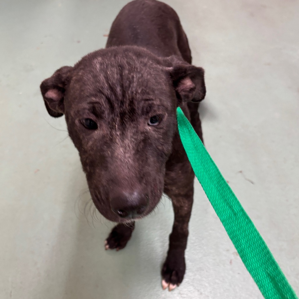 Elizabeth — thumbnail 6