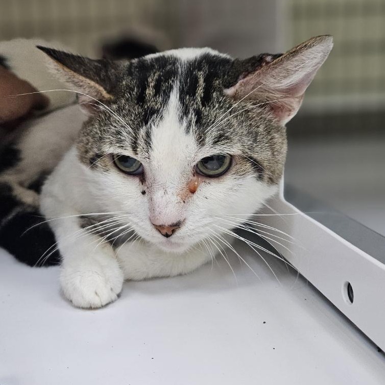 A#21a's preview photo