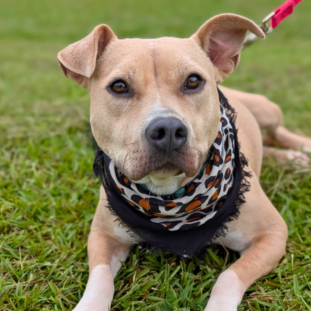 Pippa 01-1426, photo 13