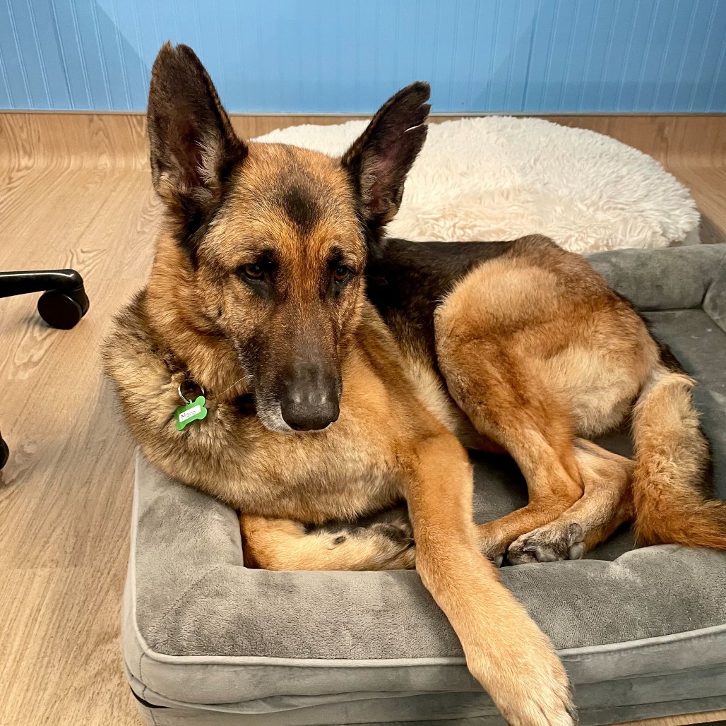 Mario 13839 — thumbnail 5