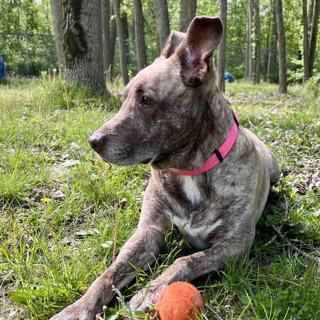 Dixie Loo, photo 27