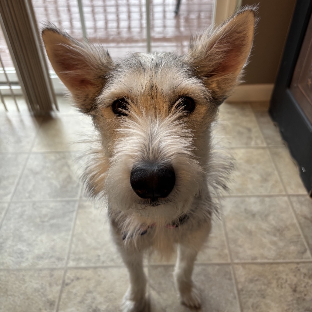 63e13d476864ccb18f85ec544f736fc6