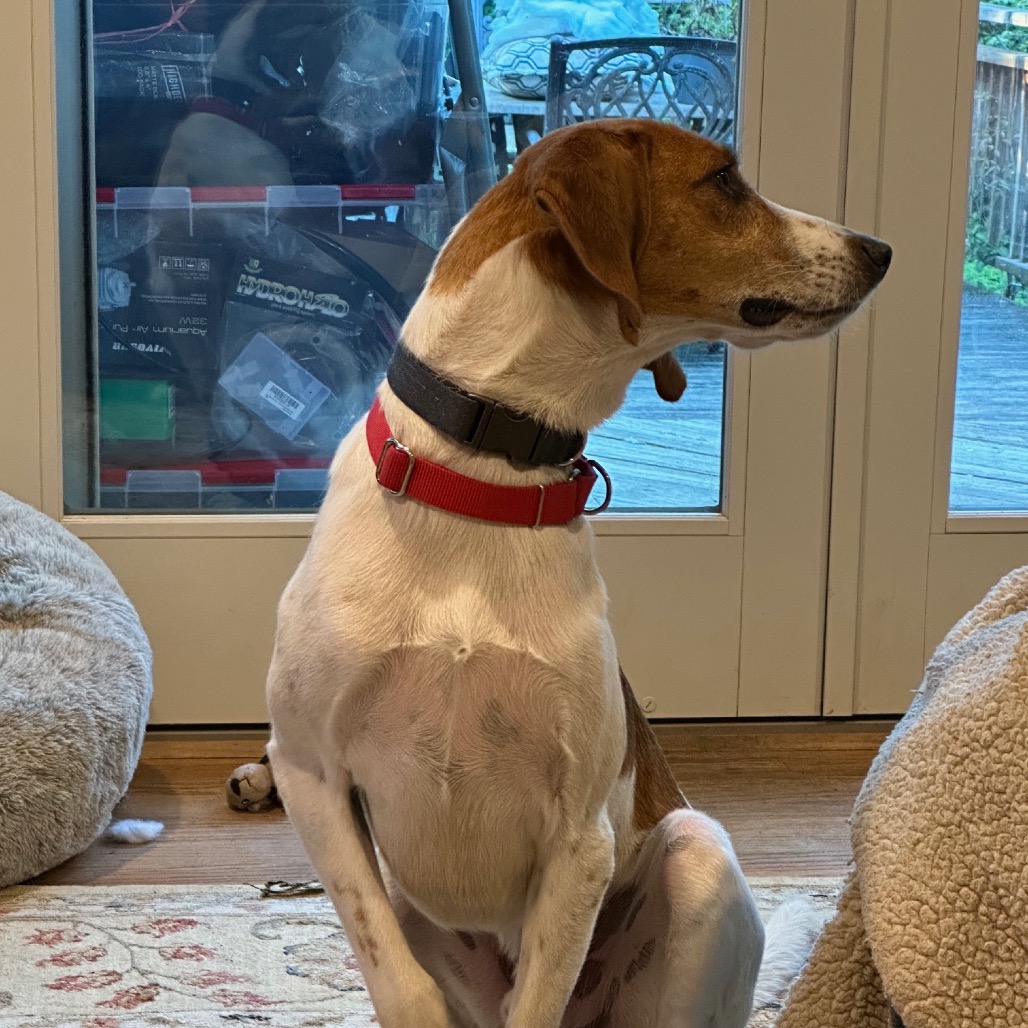 Tony — thumbnail 5