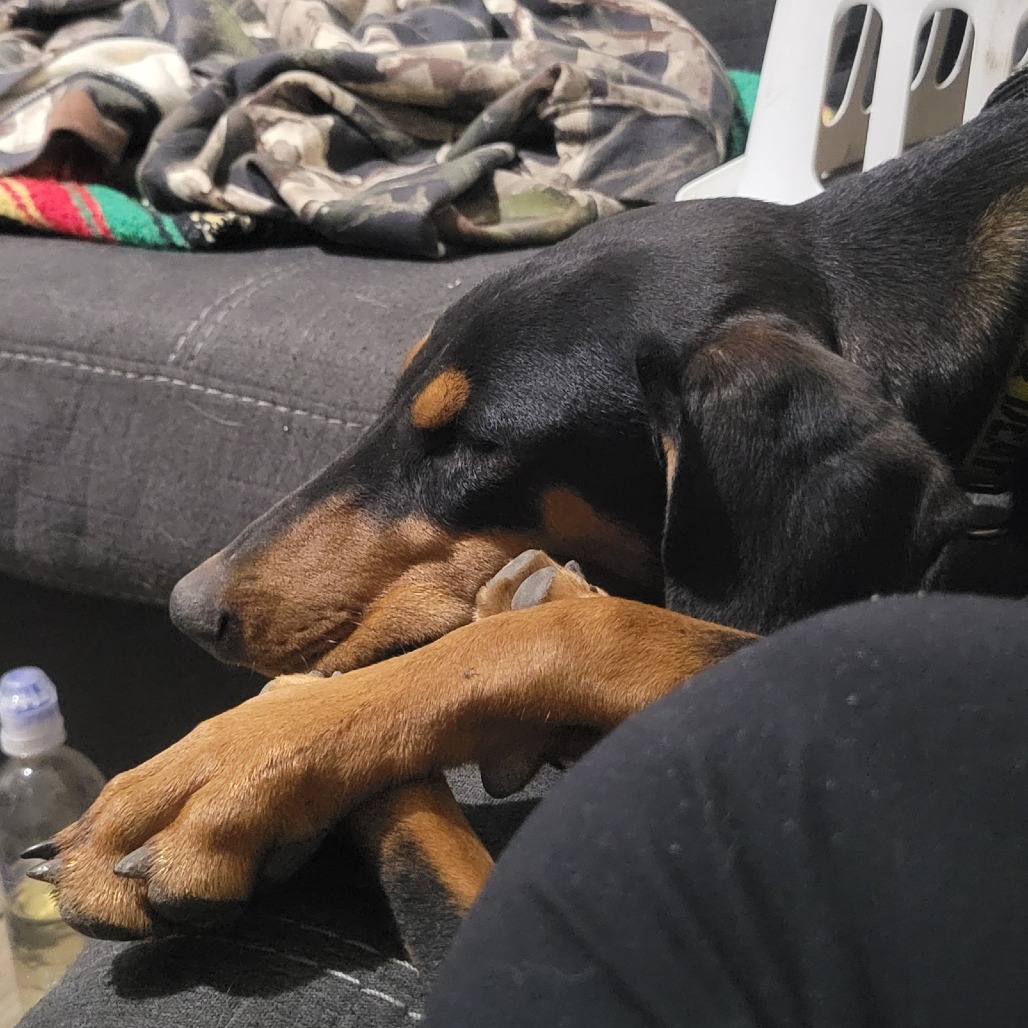 Venus — thumbnail 8