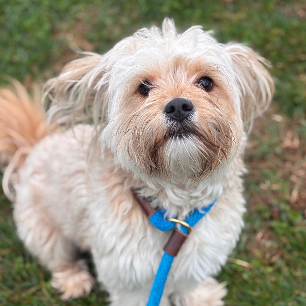 73b7e88256236797f9e0d37aa04b75d7