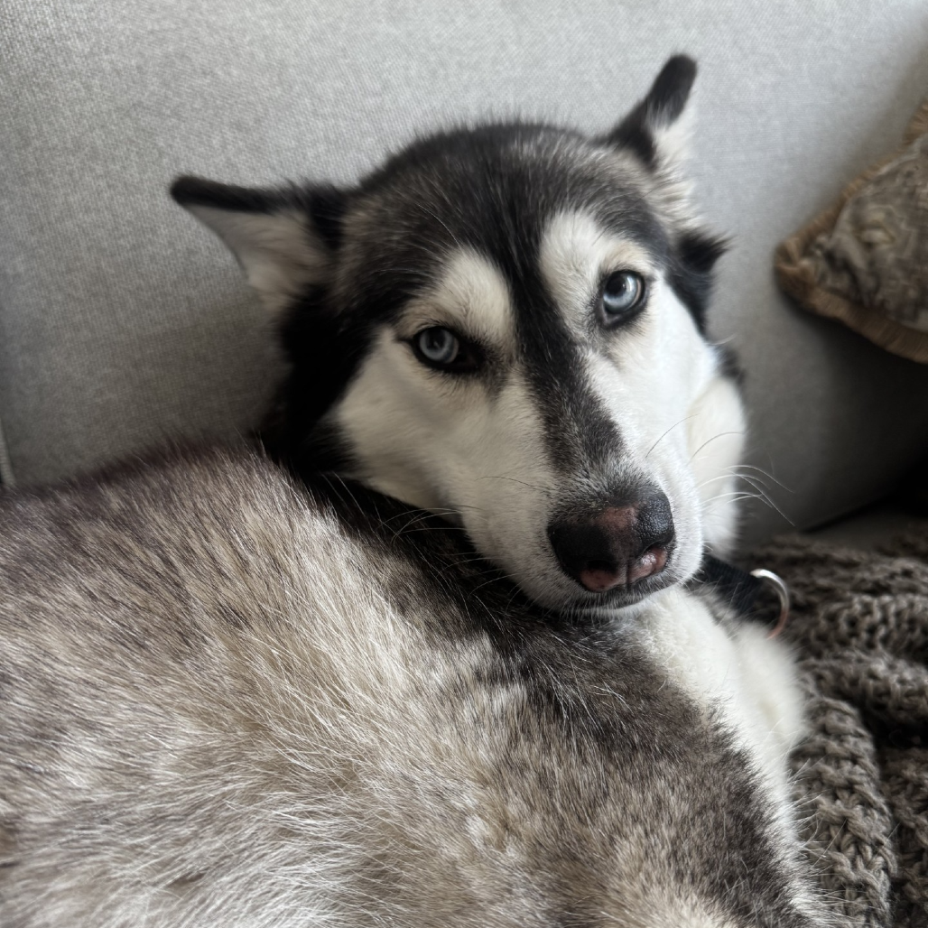 Photo of Freya 5