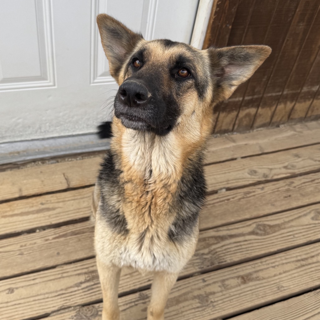 Bonnie