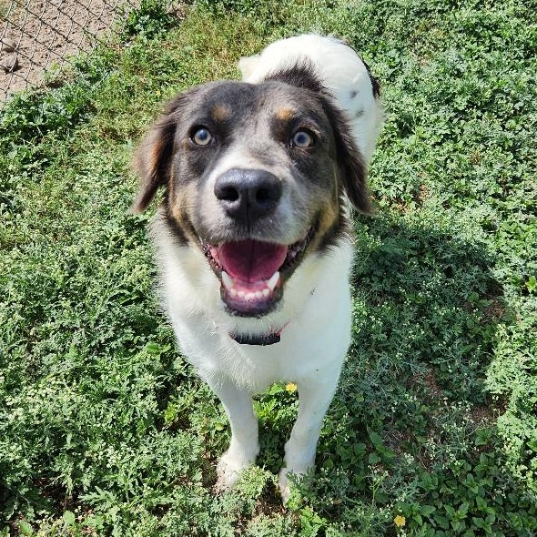 Matilda
