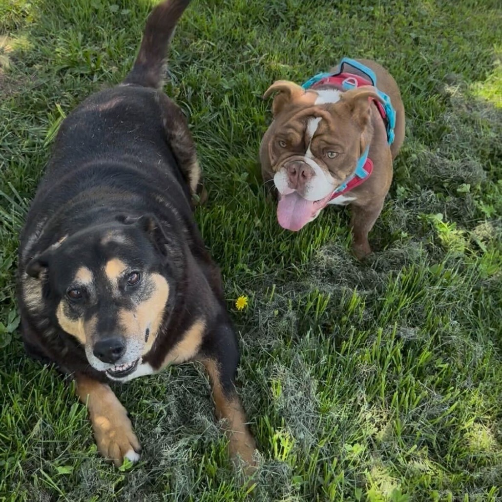 Ramona, photo 7