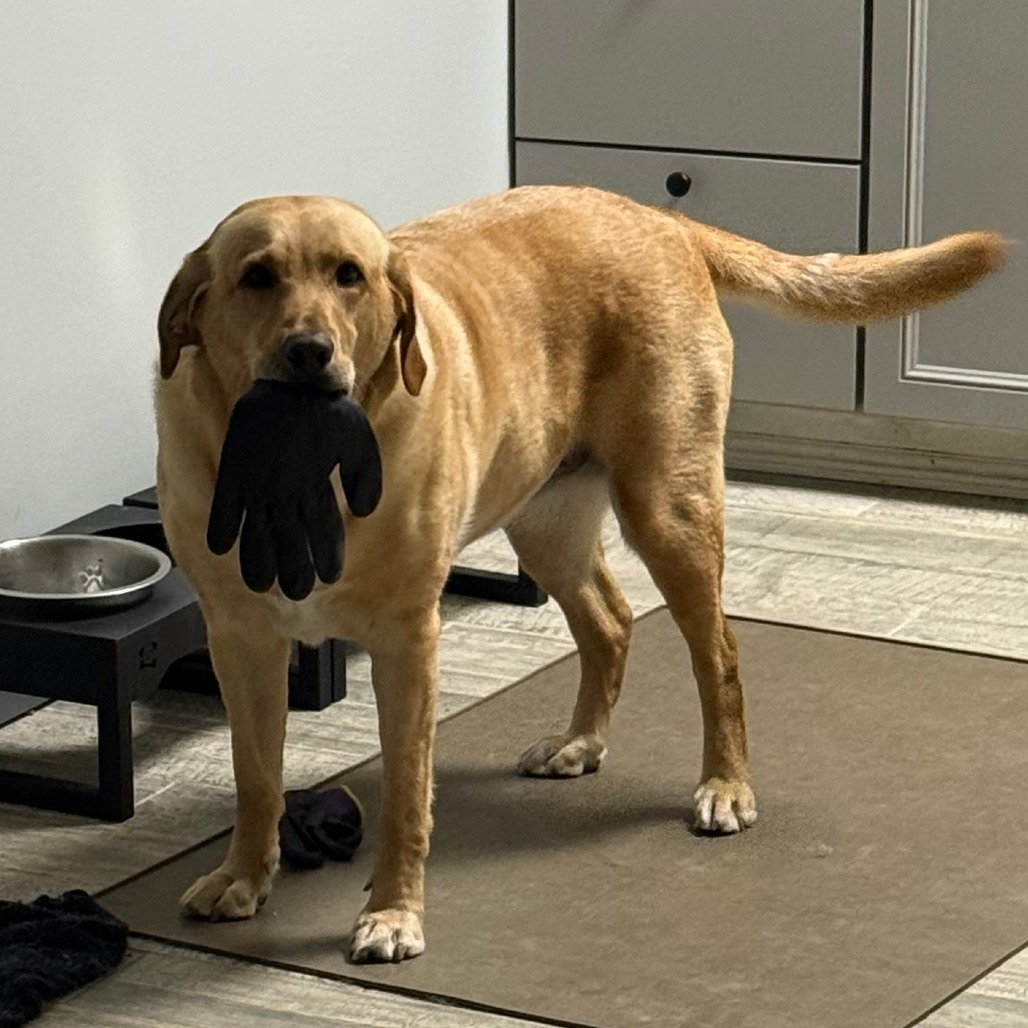 Ellie