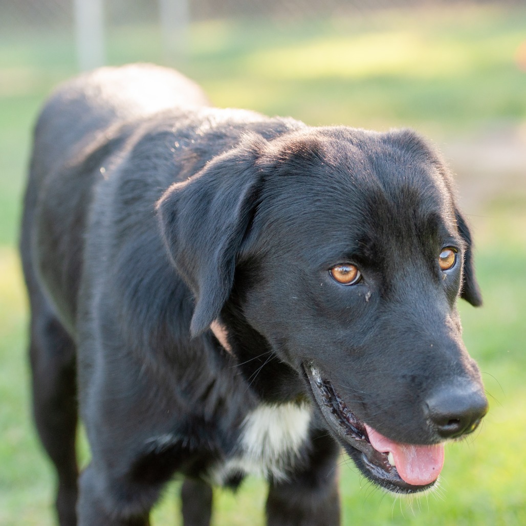 Ernie, photo 9