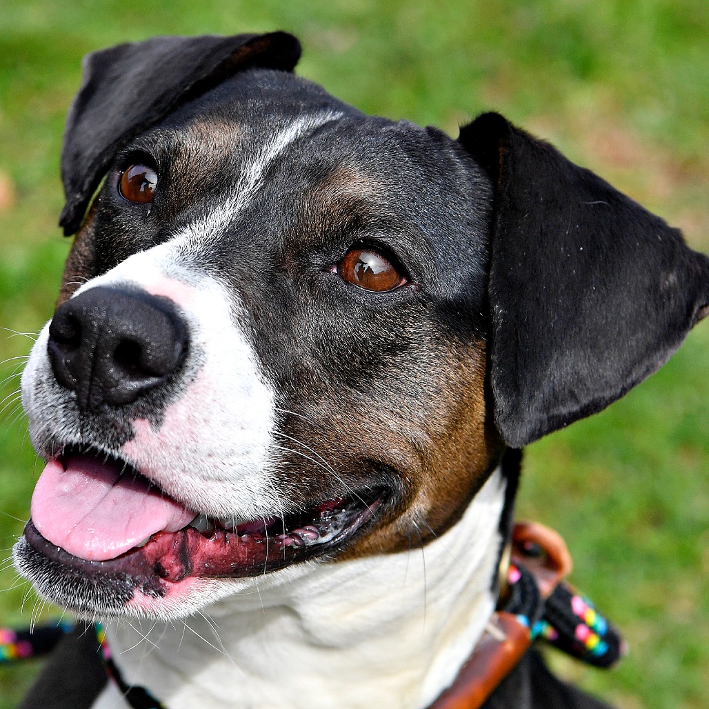 9ca0e209e614c22d8cc433c0ba6fd849