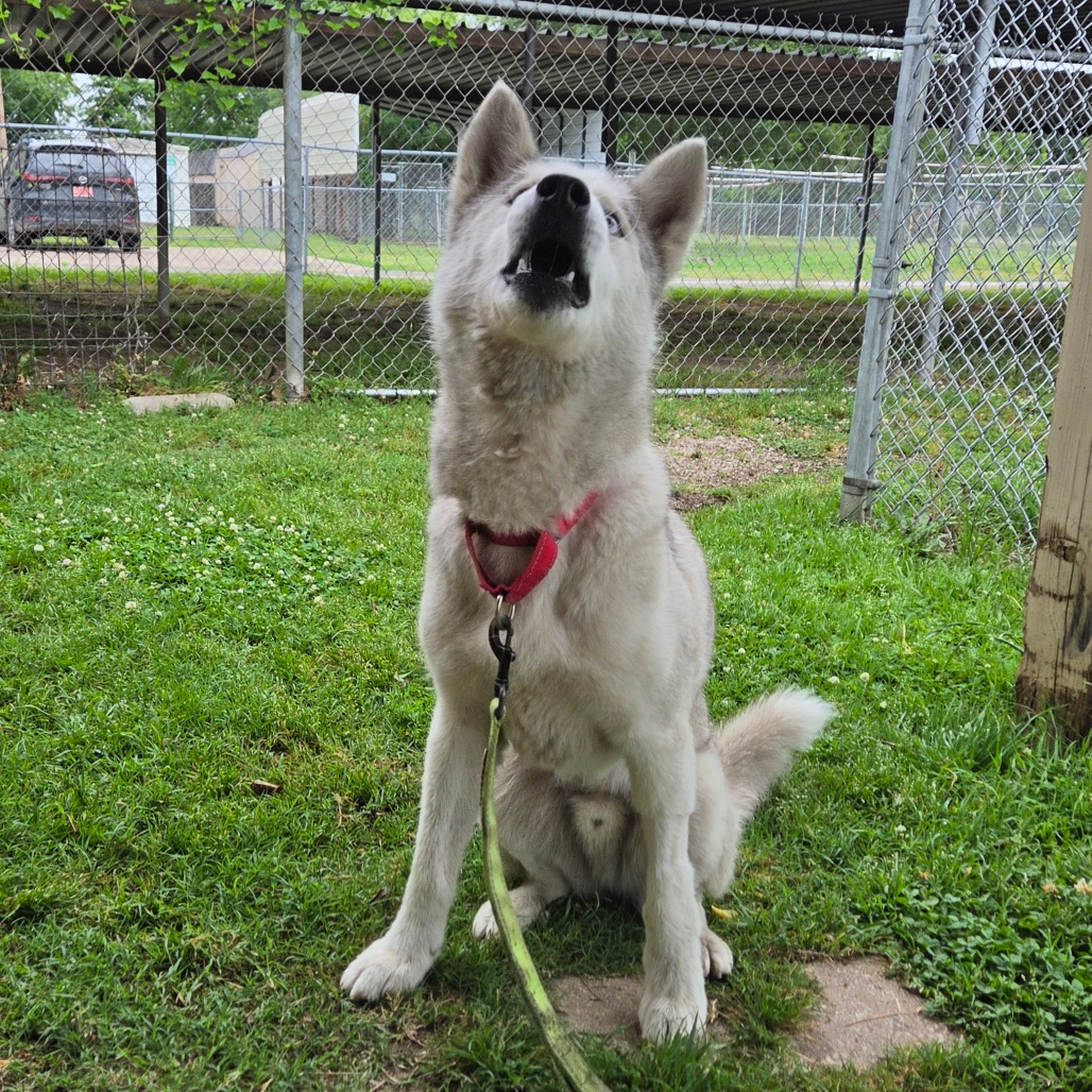 Casper photo 12