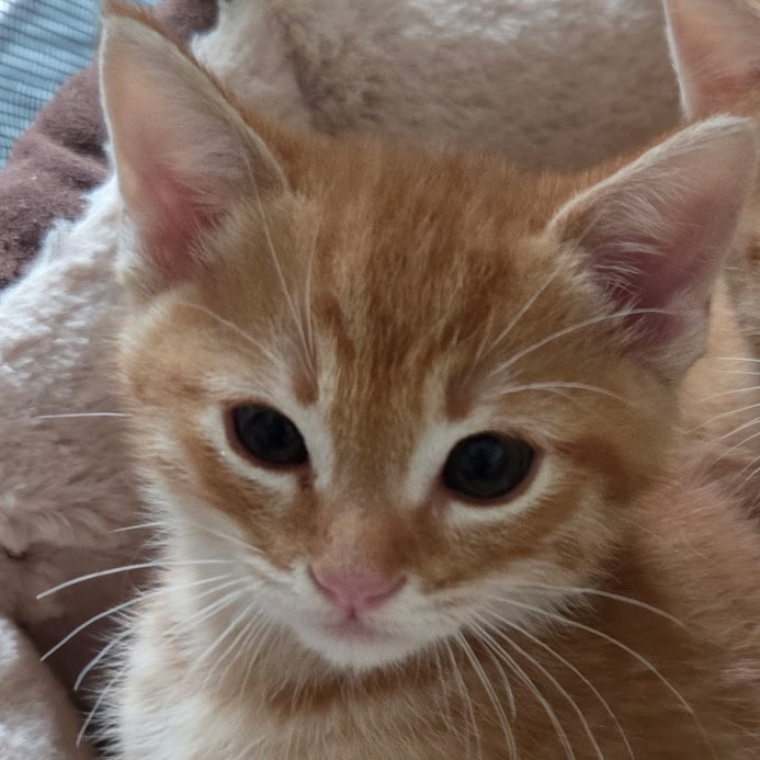 George, photo 2