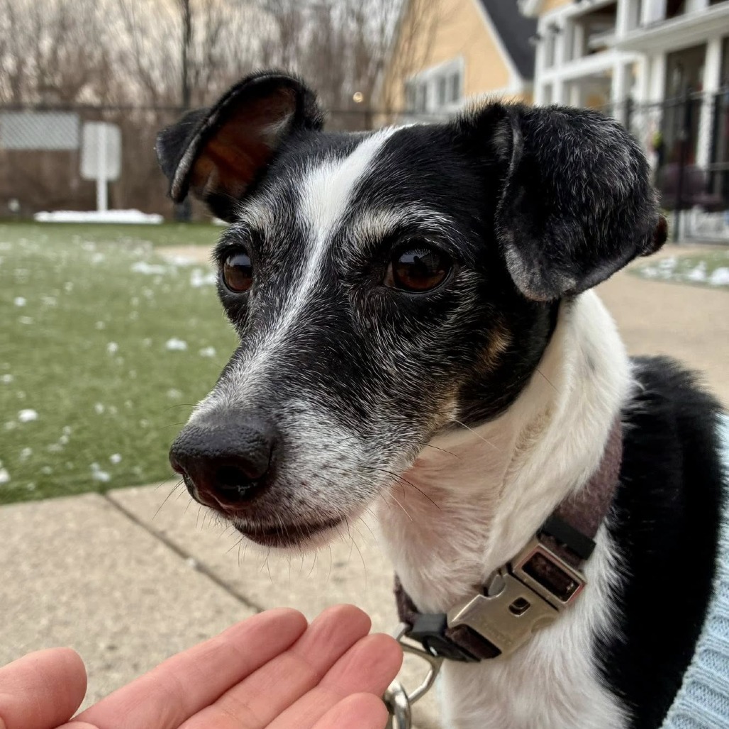 Casey — thumbnail 6