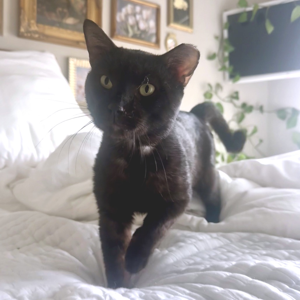 Edgar Eduardo — thumbnail 11