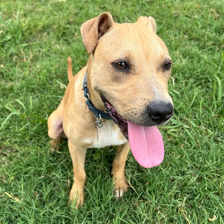 Peggy Schuyler — thumbnail 7