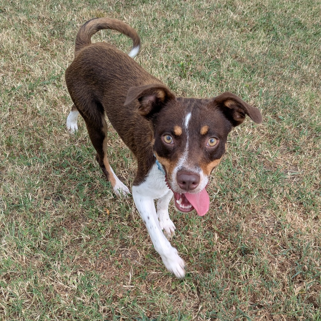 Jack