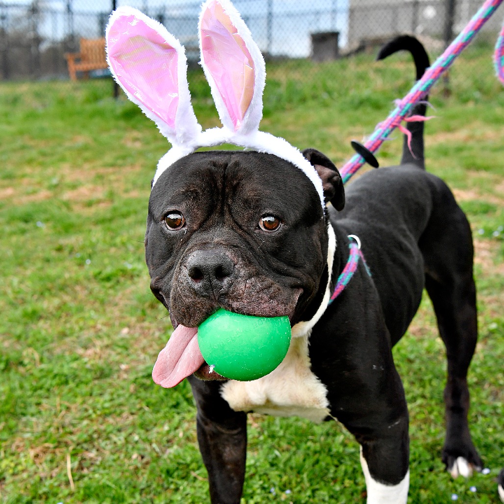 c932d8a4548d0417b68698bd15968f84