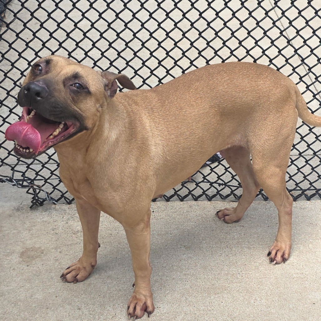 Matilda, photo 3