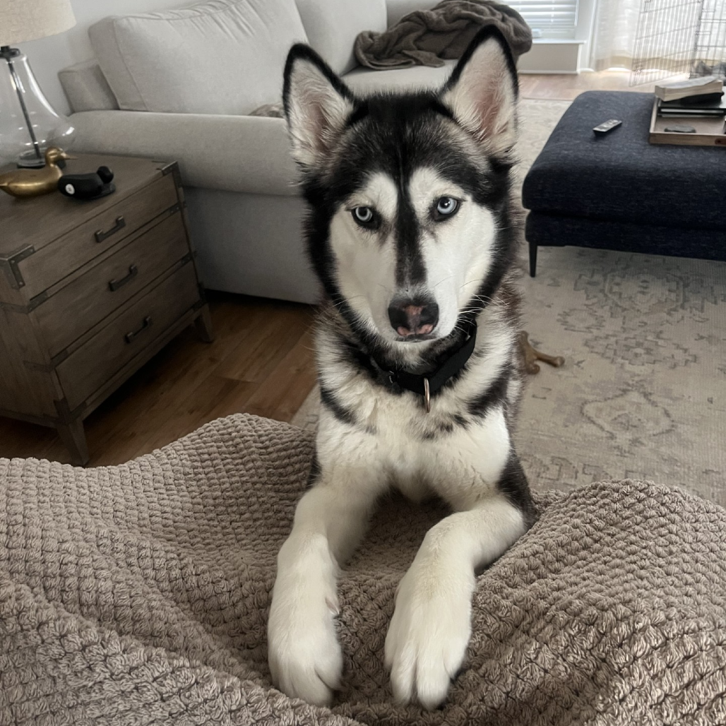 Photo of Freya 3