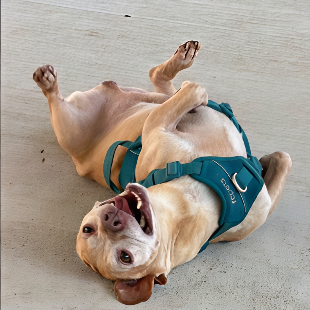 Photo of Trooper