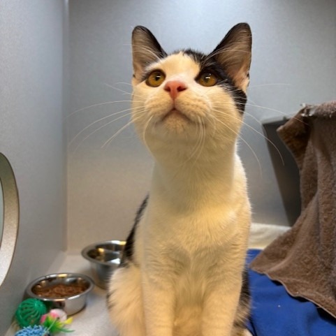 Photo of Huey Lewis 7