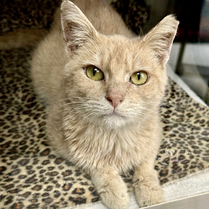 Gare Bear — thumbnail 10