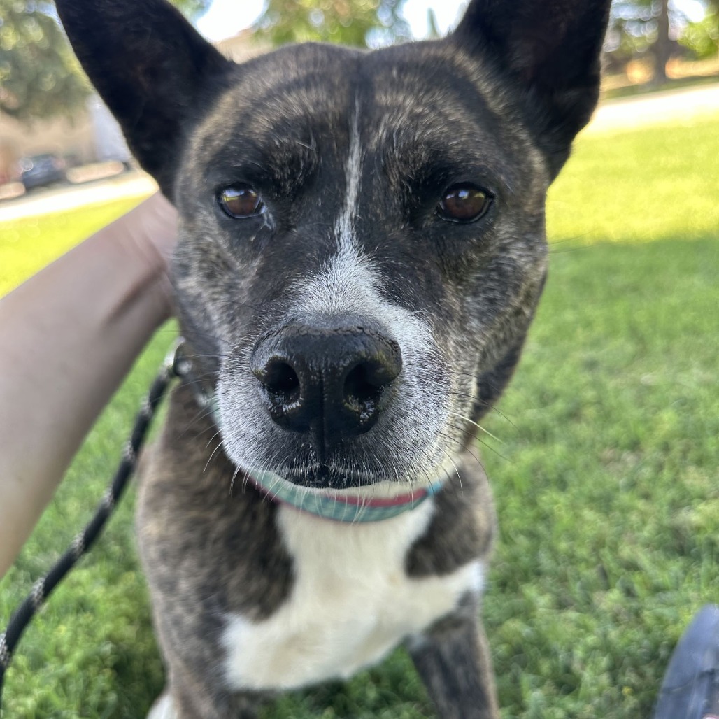 QUINCY — thumbnail 4