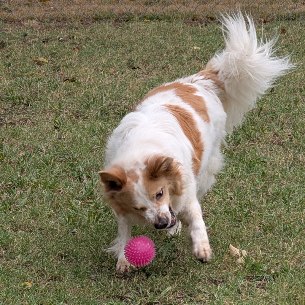 Sandy photo 32