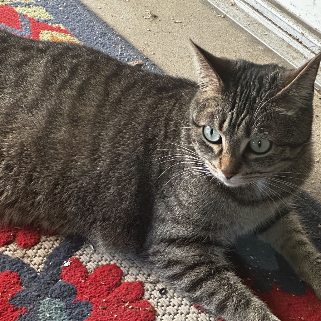 Photo of Smudge 4