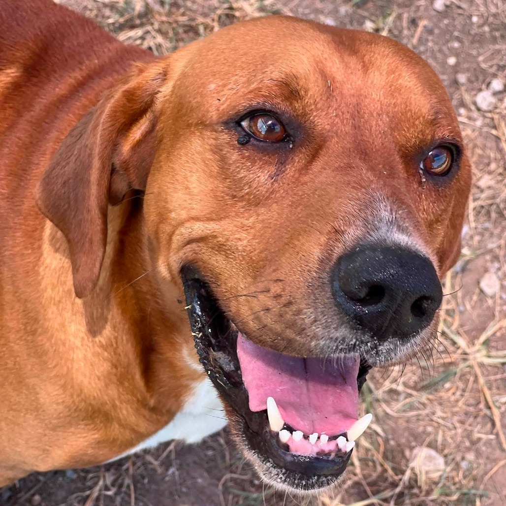 Photo of Jarvis