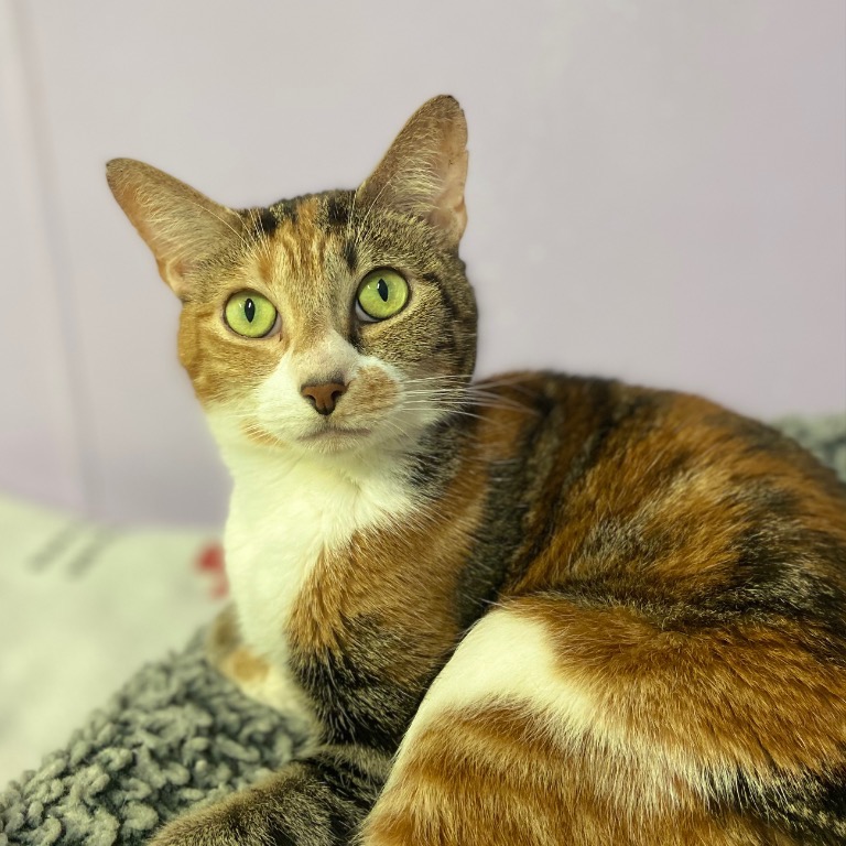 Photo of Wilma playing